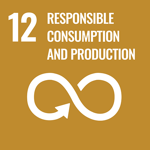 UN Sustainable Development Goals icon for Responsible Consumption And Production