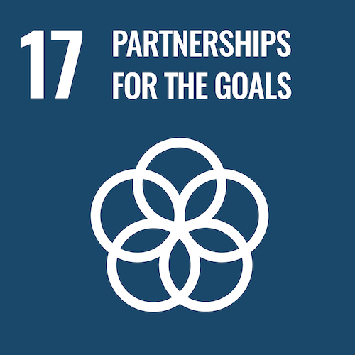 UN Sustainable Development Goals icon for Partnerships for the goals